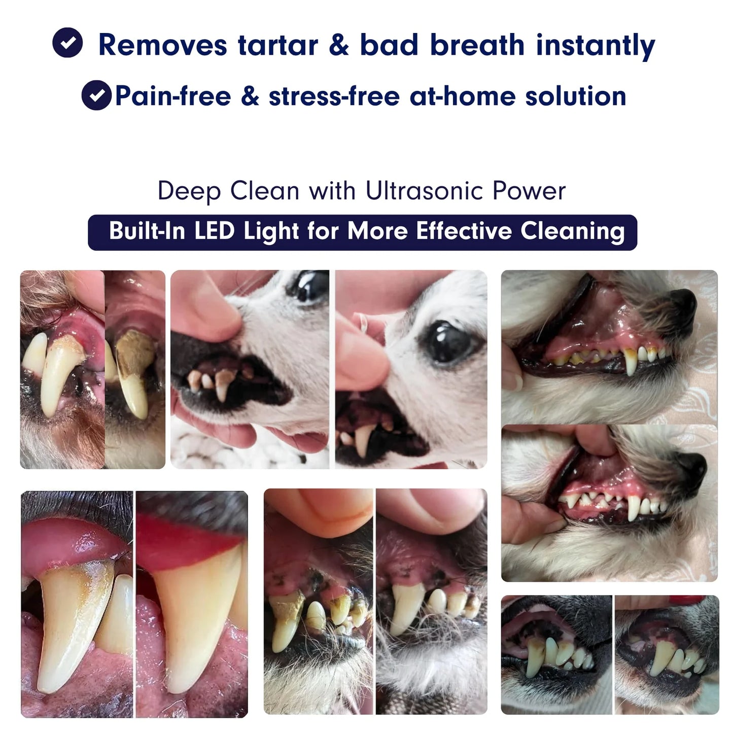 Hushbright Ultrasonic Tooth Cleaner for Dogs