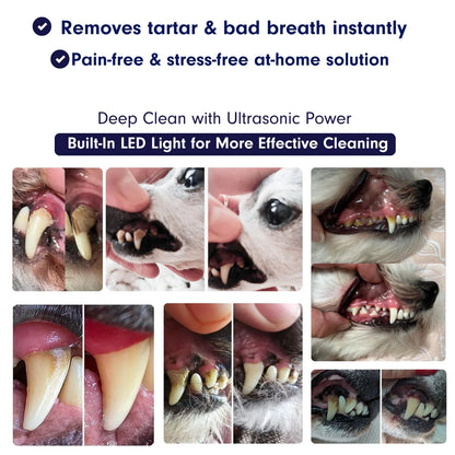 Hushbright Ultrasonic Tooth Cleaner for Dogs