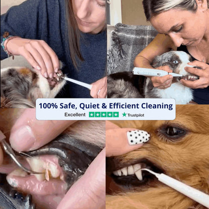 Hushbright Ultrasonic Tooth Cleaner for Dogs