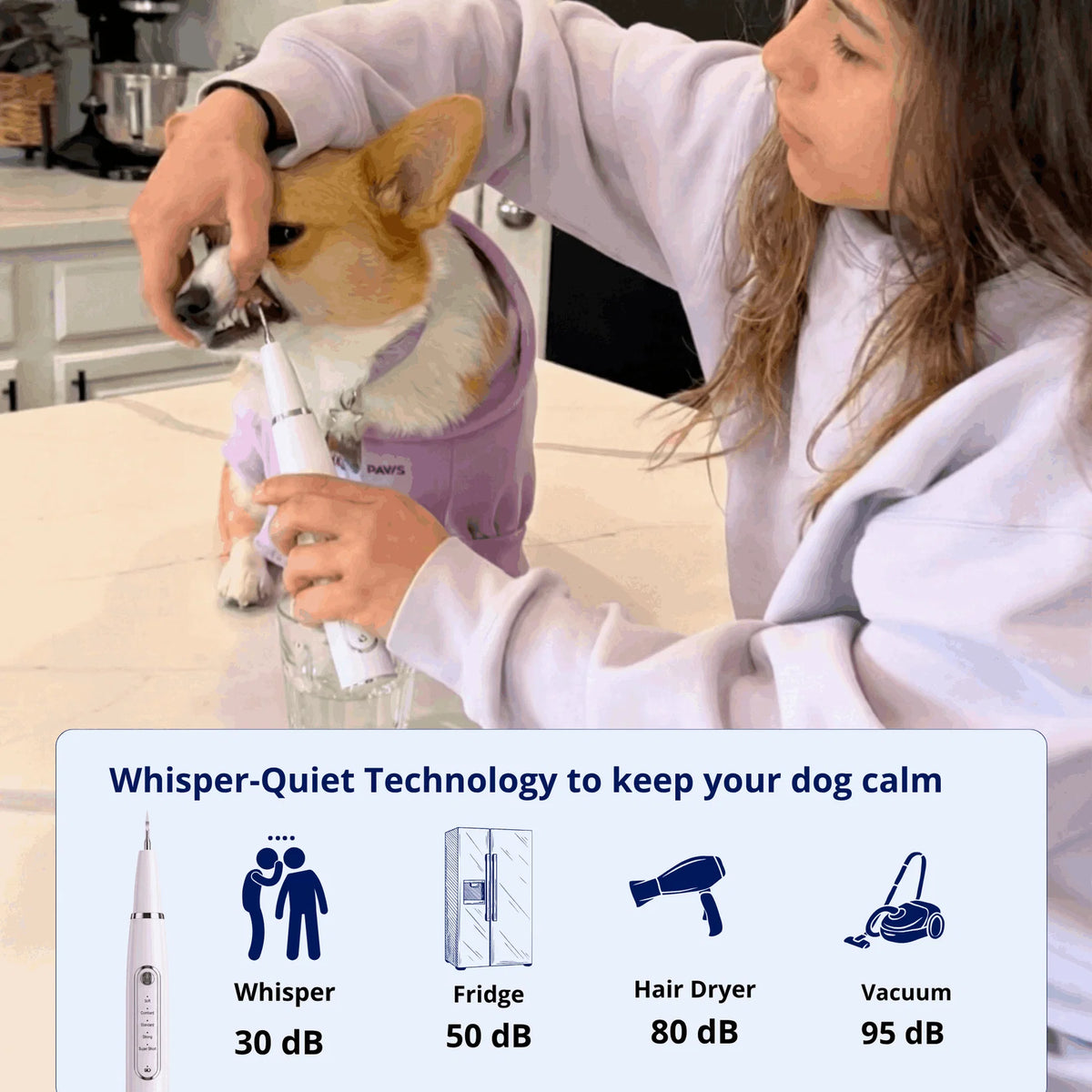 Hushbright Ultrasonic Tooth Cleaner for Dogs