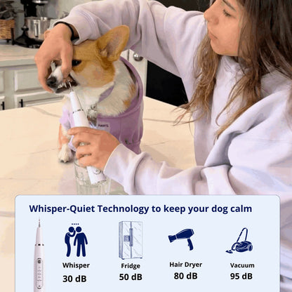 Hushbright Ultrasonic Tooth Cleaner for Dogs