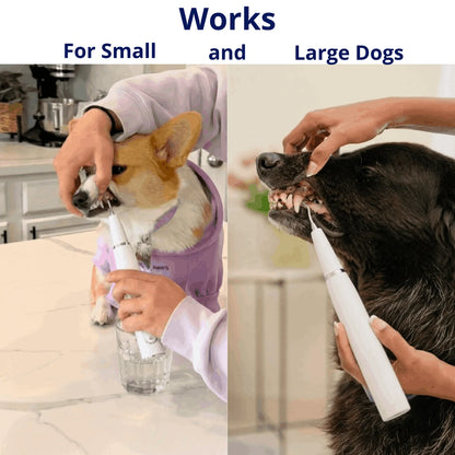 Hushbright Ultrasonic Tooth Cleaner for Dogs