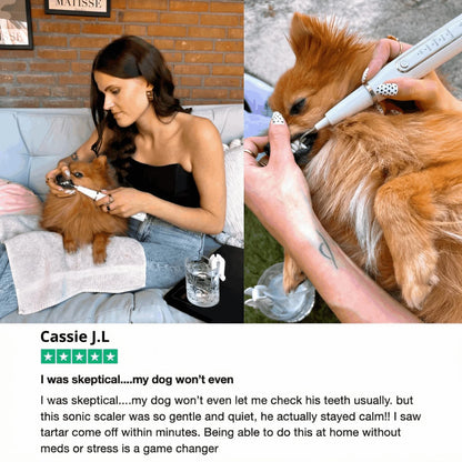 Hushbright Ultrasonic Tooth Cleaner for Dogs