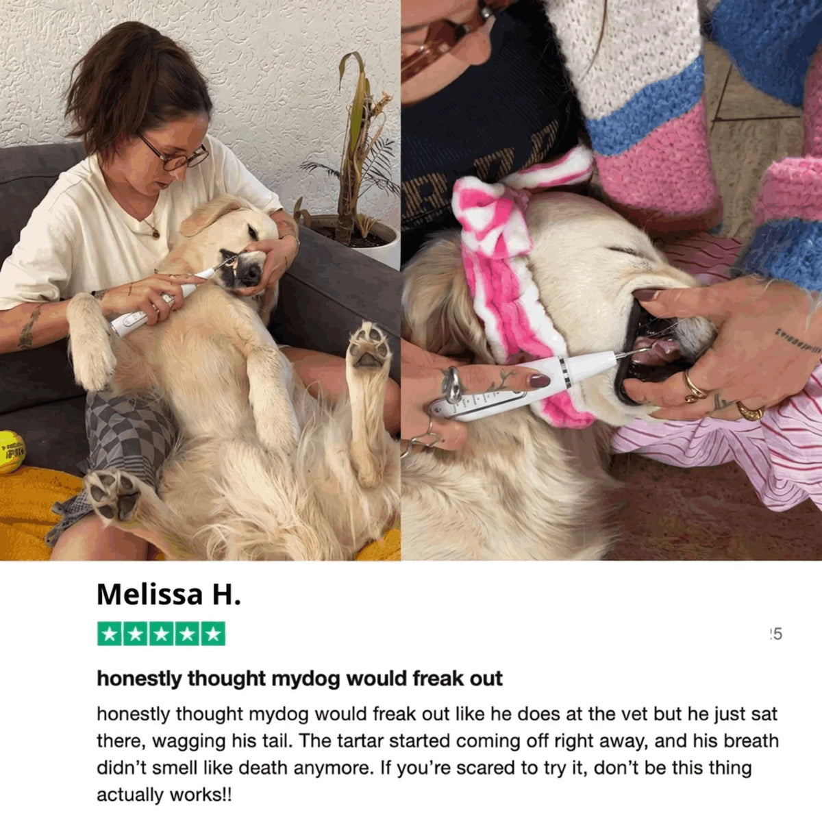 Hushbright Ultrasonic Tooth Cleaner for Dogs