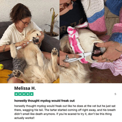 Hushbright Ultrasonic Tooth Cleaner for Dogs